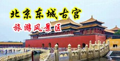 欧美无毛视频中国北京-东城古宫旅游风景区
